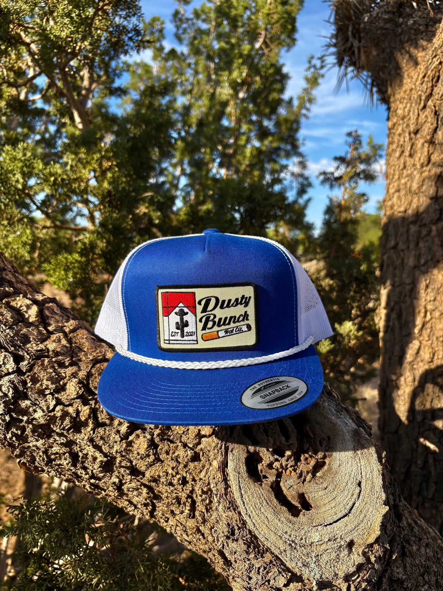 DB Stogie blue